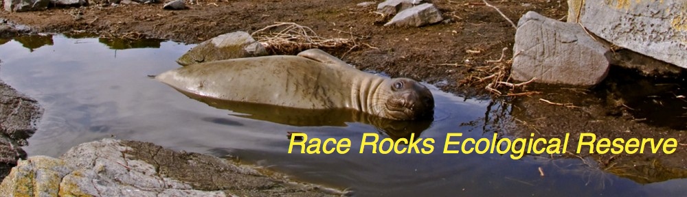 Race Rocks Ecological Reserve-
