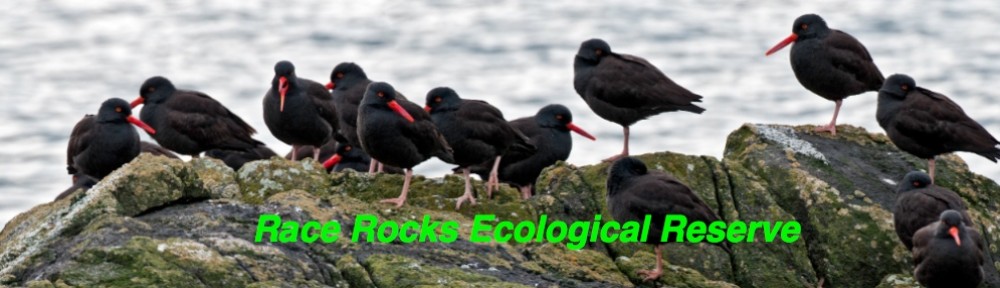 Race Rocks Ecological Reserve-